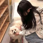 原始帝国破解版下载